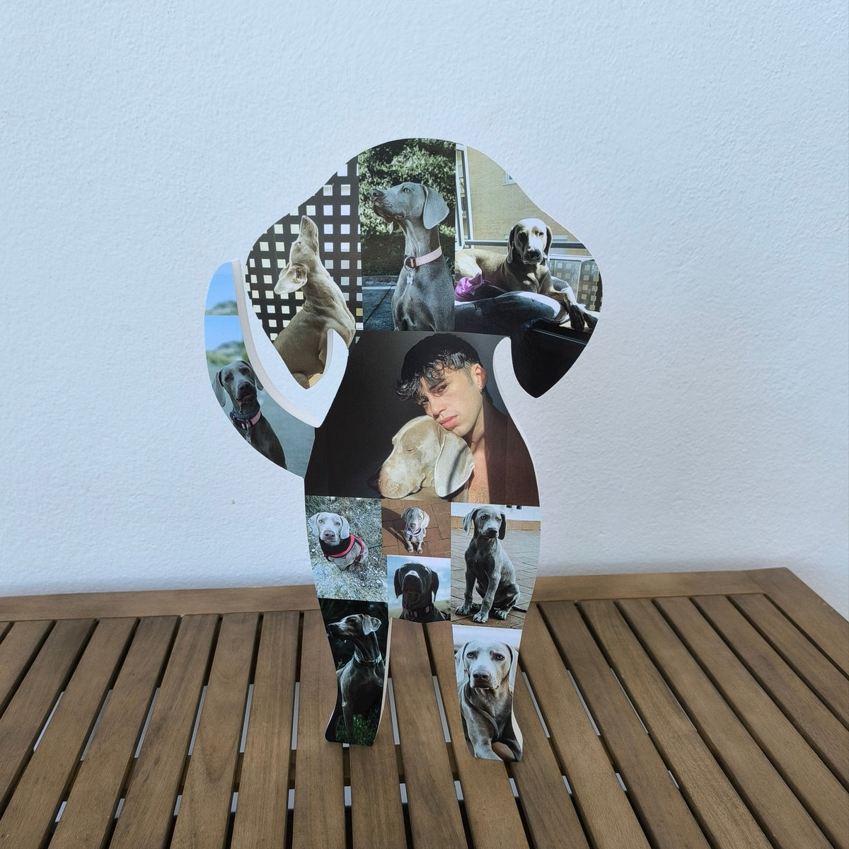Perrito con fotos en 3D - Picletters