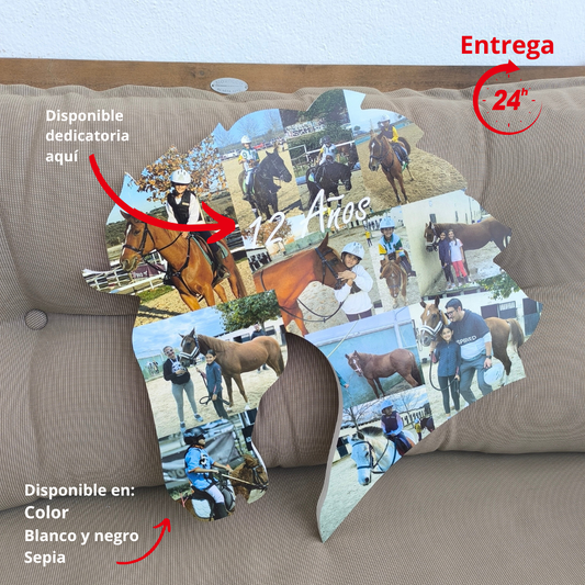 Caballo con fotos en 3D - Picletters
