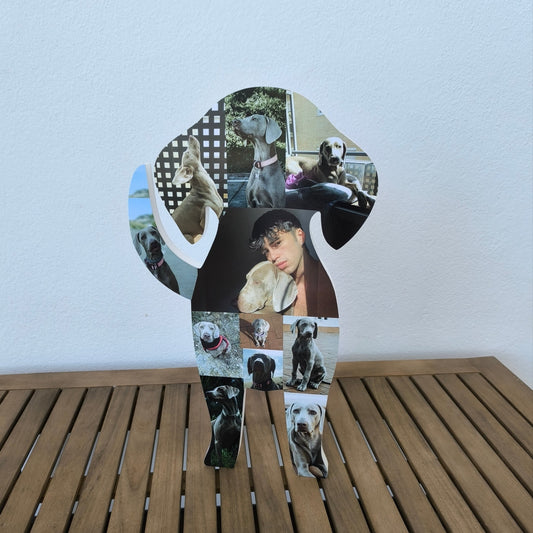 Perrito con fotos en 3D - Picletters