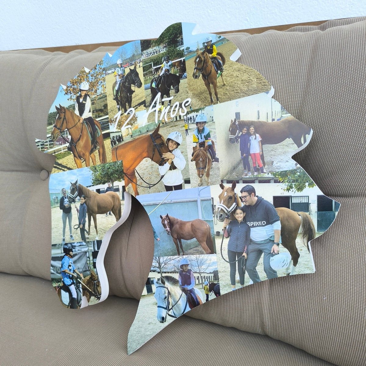 Caballo con fotos expuesto de pie - Picletters