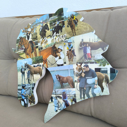 Caballo con fotos expuesto de pie - Picletters