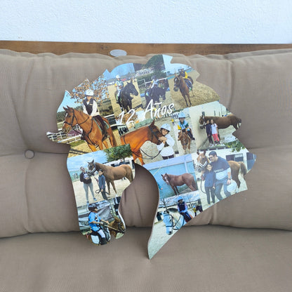 Detalle del caballo decorado con fotos - Picletters